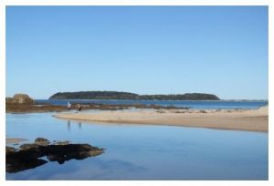 Mossy Point Holiday Rentals - Wagga Wagga Accommodation